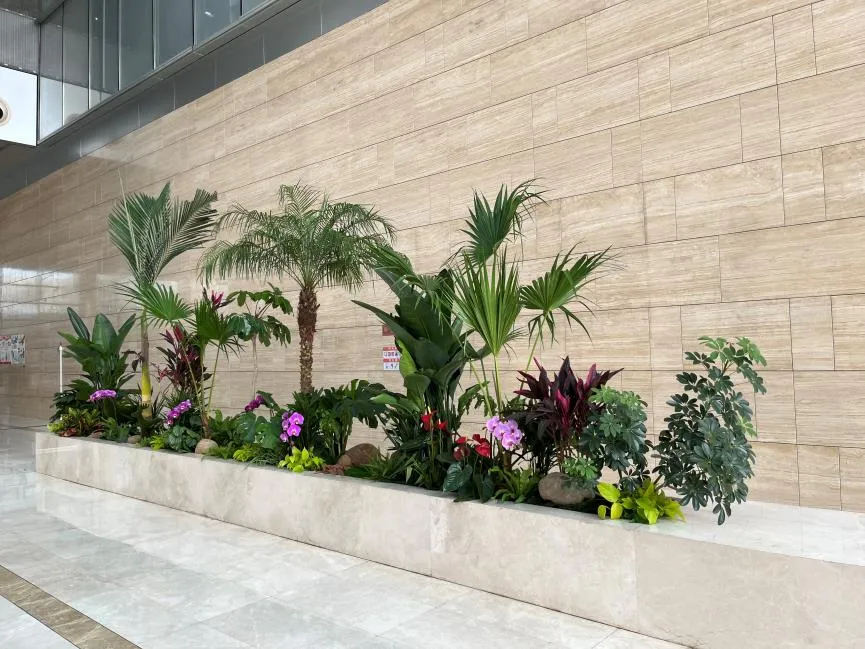 租摆花卉来宁波镇海，优质服务让你爱不释手！亡